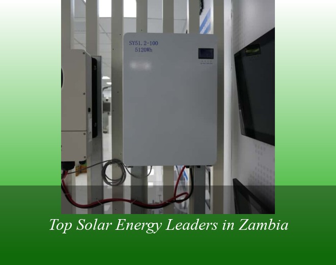 Top Solar Energy Leaders in Zambia