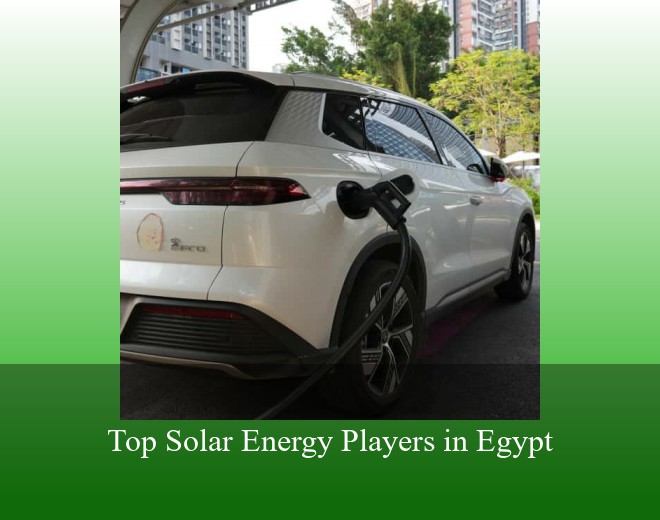 Top Solar Energy Players in Egypt