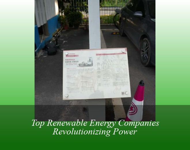 Top Renewable Energy Companies Revolutionizing Power