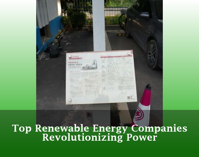 Top Renewable Energy Companies Revolutionizing Power