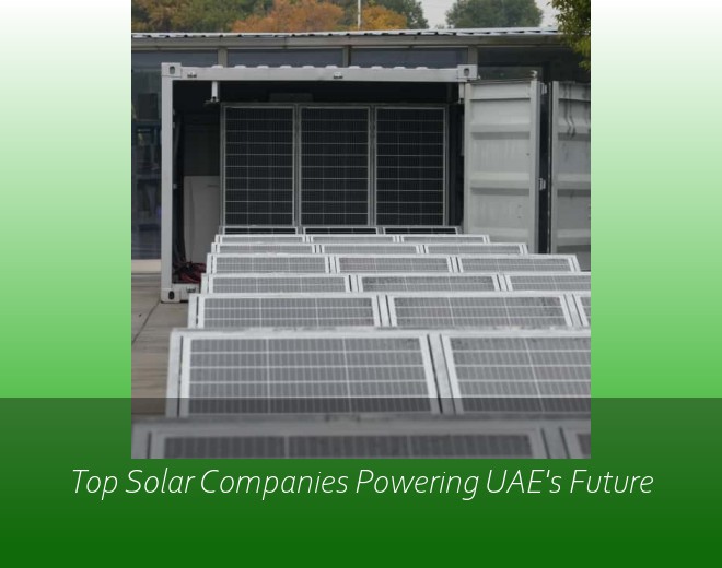Top Solar Companies Powering UAE's Future