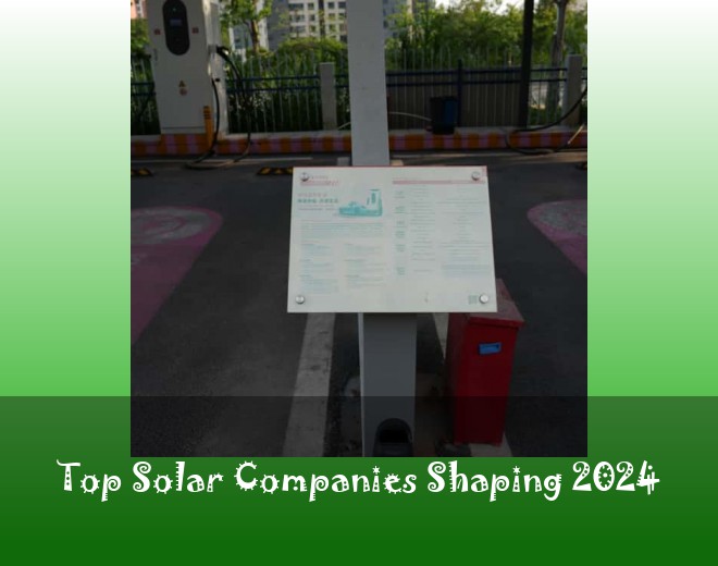 Top Solar Companies Shaping 2024