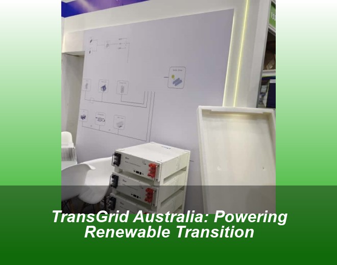 TransGrid Australia: Powering Renewable Transition