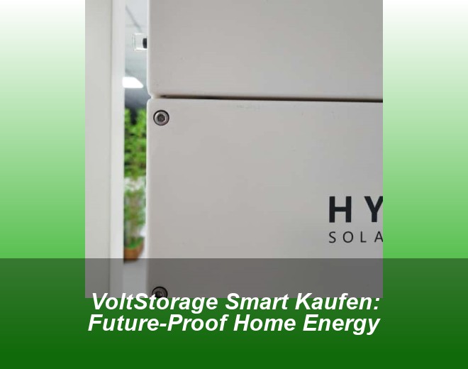 VoltStorage Smart Kaufen: Future-Proof Home Energy