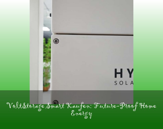 VoltStorage Smart Kaufen: Future-Proof Home Energy